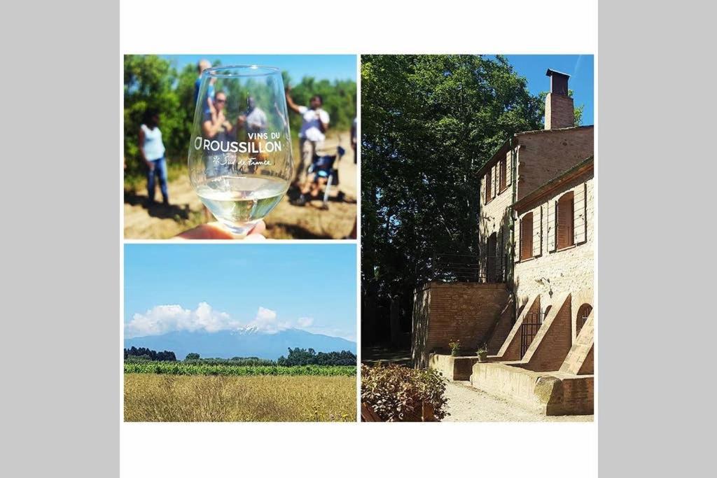 Gite De Charme Du Domaine Pagnon Guillemette 托雷伊 外观 照片