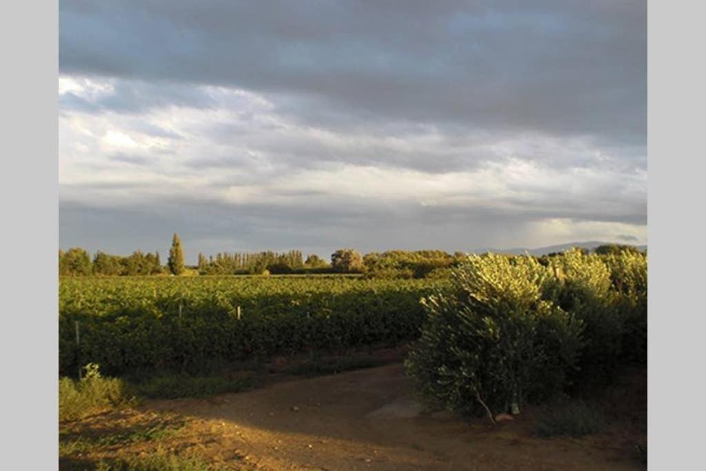 Gite De Charme Du Domaine Pagnon Guillemette 托雷伊 外观 照片
