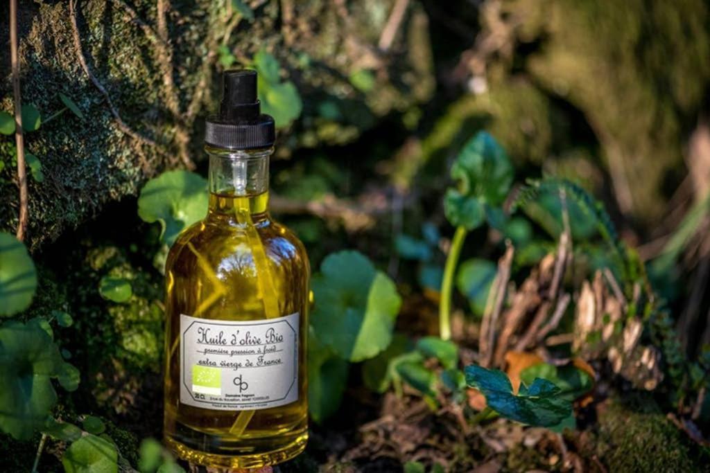 Gite De Charme Du Domaine Pagnon Guillemette 托雷伊 外观 照片